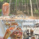 별보다카페 | 영덕 가족여행 후기_별영리 메타세콰이어숲, 축산항 대게궁, 오보해변 3월18일카페 후기