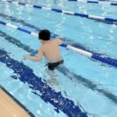 아쿠아펠리스 수영장 이미지