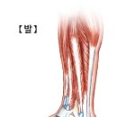 투모어휘트니스구암 이미지