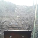 탑동민박 이미지