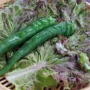 애막골길 이미지