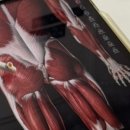 삼영프라자앞 | 안산고잔동 pt후기 하와이짐 안산고잔점(개인 샤워실, 동시간대 최대 10명)추천