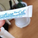 월드팜코리아 이미지