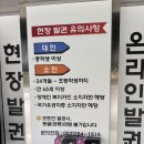 나라애견 | 울산 자수정 동굴나라 방문후기(할인,주차,팁,애견동반)