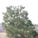 남토북수 농원 이미지