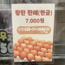 햇살머믄 꼬마김밥(수곡점) 이미지