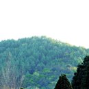 신매2리 이미지