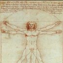 이브올루션 이미지