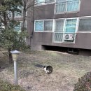 강남 박사 체육관 | 냠냠쩝쩝 쩝쩝박사의 한주