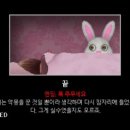 미스터스팀
