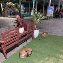 지프로드 | 무이네 사막 지프투어 이용 후기