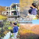 아이랑 강원도 여행, 곰배령 펜션 추천 &#39;곰배령 그곳에가면&#39;