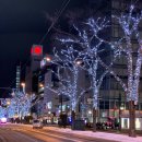 팔앤팔(PAL&PAL) | Sapporo