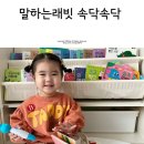 속닥속닥 | 대전 어린왕자 서점, 말하는 래빗 속닥속닥 상담 후기