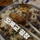 투데이호프 | 오목교맛집, 생방송투데이 나온 오목교곱창 후기, 수제마늘곱창과 대파김치 꿀조합