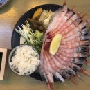 구*송 이미지