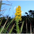 개금초등학교 이미지