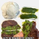 완두찐빵 | 비건 쌀 쫀득빵 여름빵학 말차초코쫀득빵, 완두쫀득빵 솔직후기
