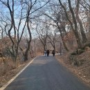 선사시대로 탐방 길(선사2코스) 이미지