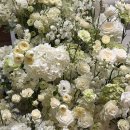 소사4로 | [W18/MJ컨벤션] 부천 소사역 26년 4월 파티오볼룸홀 예식 후기