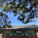 향교로 | 임실향교 후기 대성전 명륜당과 은행나무 감성 여행