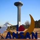여의도휴개소 | 대부도 갈만한곳 시화방조제 드라이브 바다향기수목원 여행 코스