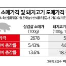 플러스삼삼 네이버블로그