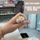 패러그린샵 동래점 이미지