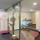 댕고깐 | 마곡나루 댕고깐 :강아지 케이크 / 수제간식