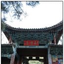 푸른하늘 여행사