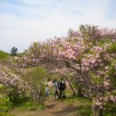 힐링 선 이미지