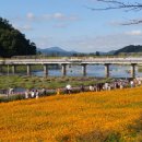 장성공용버스터미널 이미지