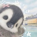 The바른몸 | #6. 홍대 The Chapter 01 : 선택｜장치 하나로 존재감 증명한 테마