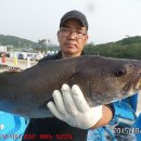 k3바다낚시터 이미지