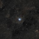 7023 | 220903_NGC 7023 Iris Nebula (아이리스 성운)