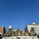 동피랑 충무김밥 이미지