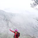 안수산 이미지