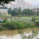 역동저수지 용인시민신문