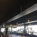 팀타이거짐 이미지