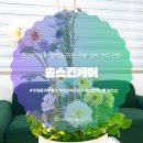 정화Care | 수분 장벽 관리 후기 - 천안 송스킨케어에서 받은 특별한 케어