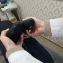 마디튼튼담적한의원 이미지