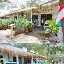 윤식당&윤카페 이미지