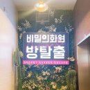 78. 딜레마 후기 (대학로 방탈출)