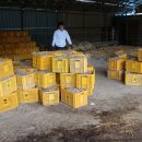 호림농장 이미지