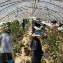 서천군농업기술센터 이미지