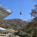 가을 길 남산에 오르다 이미지