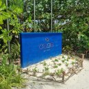 오가샐러드 | 몰디브 신혼여행 3~4일차 오가아트리조트 후기