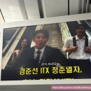 용산-현장-18 | 갑옷시사 재입고? 용산 치이카와 3월 18일 재방문/ 금치와레 누이까지 겟 😵‍💫😵‍💫