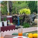 올래민박 이미지