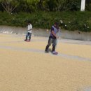 신촌농장 이미지